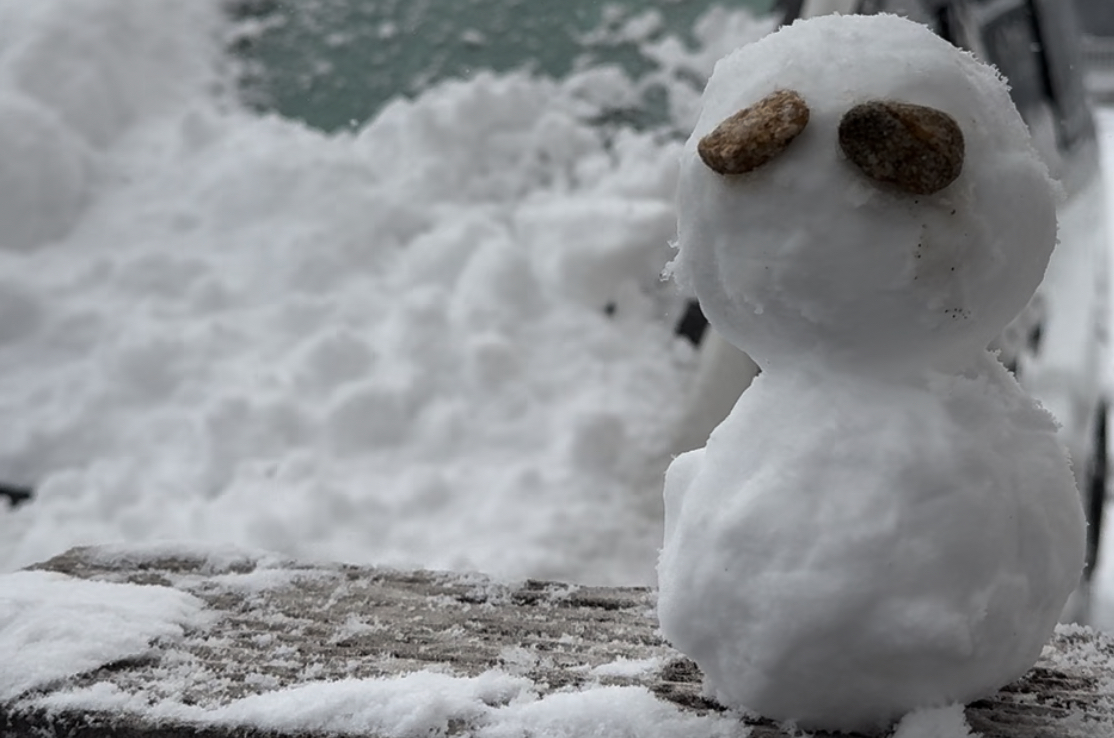 大雪でしたね